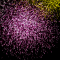 Old-School Graphics in C# / .Net 8, Part 2: Fireworks and Advanced Vector Extensions (AVX, SSE)