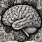 Why Success Favors Action and How This Relates to AI